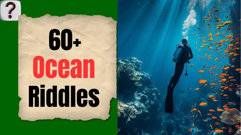 Ocean Riddle