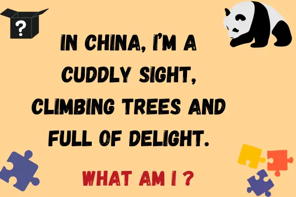 Panda Riddles