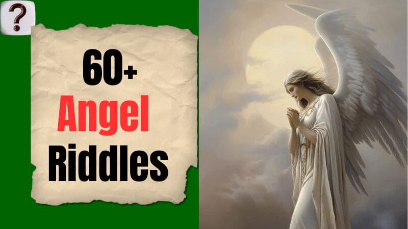 Angel Riddle