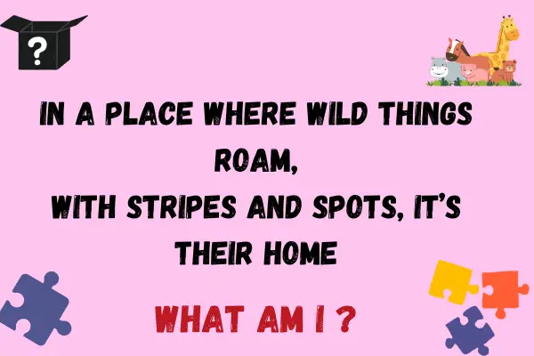 Riddle about zoo