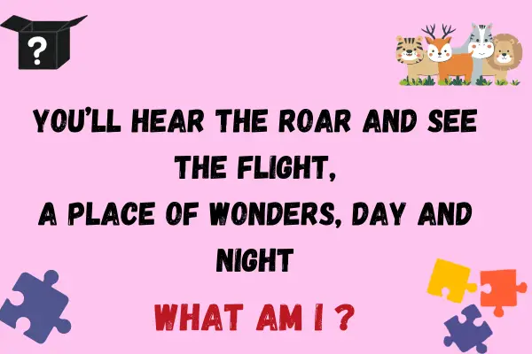 Riddle about zoo