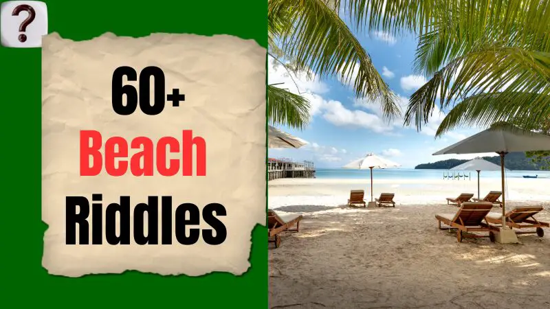 60+ Beach-Riddles