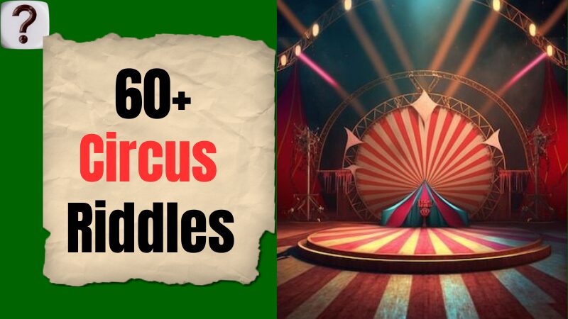 Circus Riddles