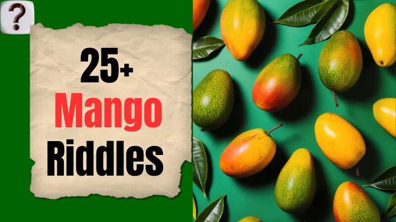 Mango-Riddles