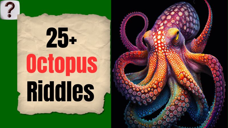 Octopus-Riddles