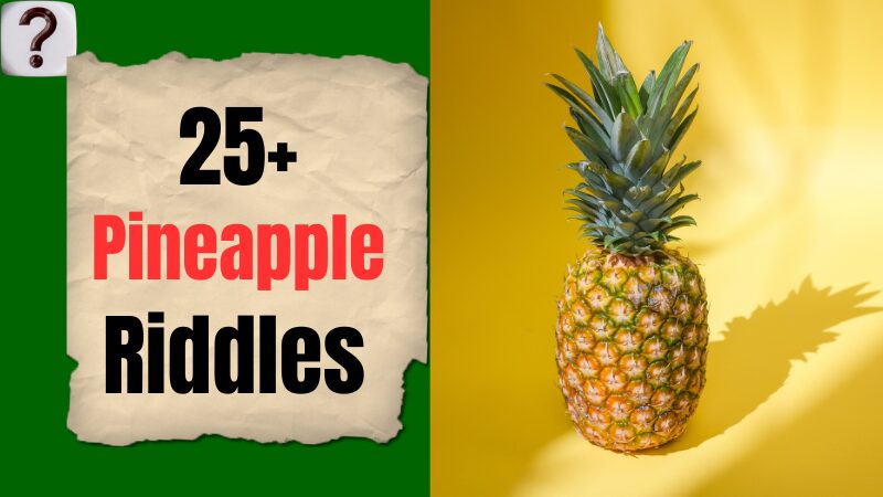 Pineapple-Riddles