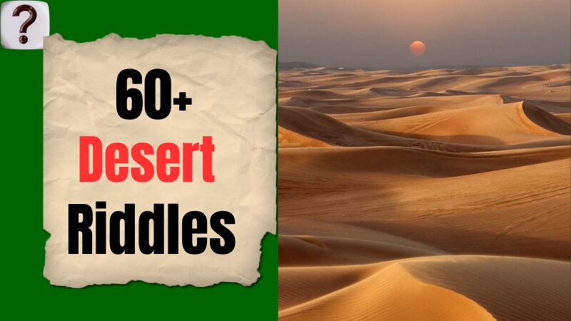 Desert-Riddles