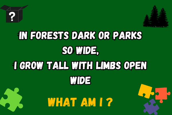 Pine Tree Riddle