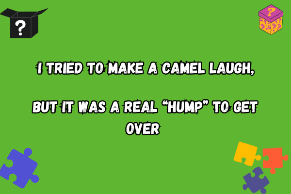 Pun about Camel