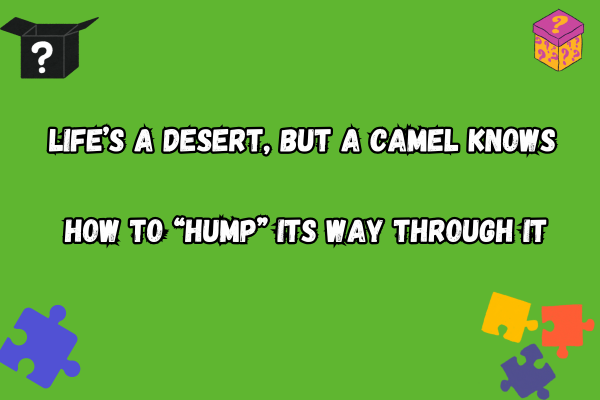 Camel Pun