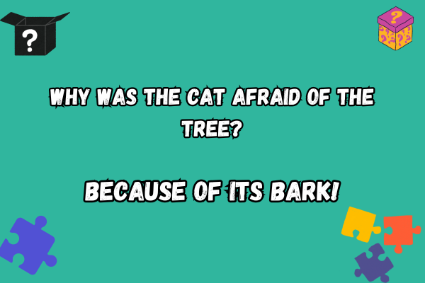 Pun About Cat